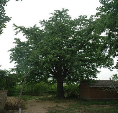 價(jià)格 廠(chǎng)家 