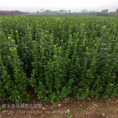 價(jià)格 廠家 中國供應(yīng)商