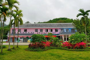 探索 造血式 扶貧新機制 石碧苗妹五色粽廠邁出發展新步伐