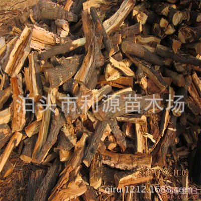 棗木雕刻與燒熏 烤鴨店優質材料的首選——泊頭市利源苗木場